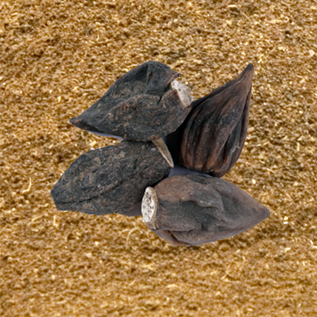 Salab Dana (Gutta) Powder